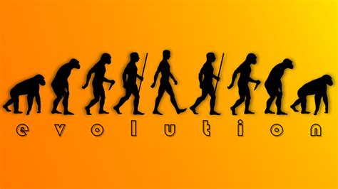 Evolution by MousTaki