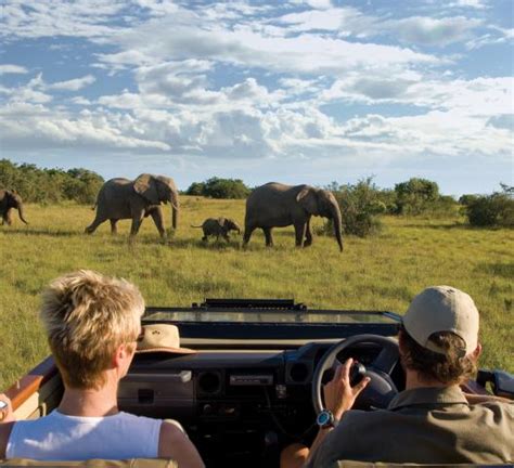 Eastern Cape Safari Lodges | Safari Guide Africa