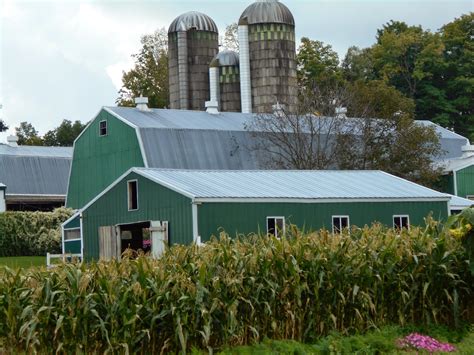 New York State of Mind: OLD ORDER MENNONITE FARM