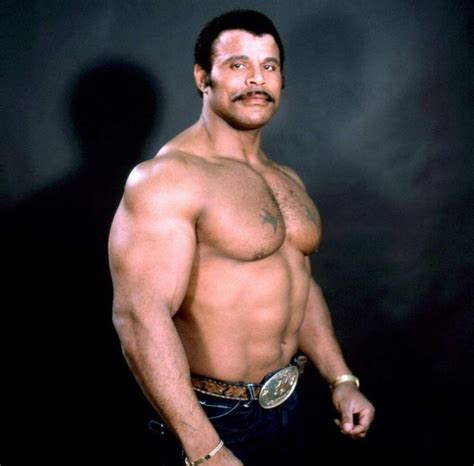 Rocky Johnson WWE | News, Rumors, Pictures, Height & Biography ...