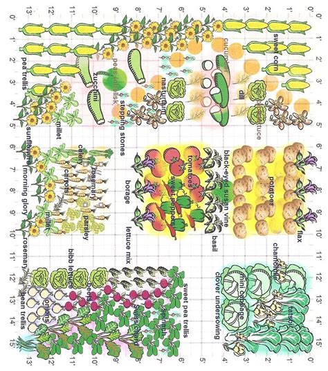 Companion Planting Square Foot Garden Layout