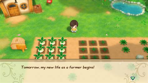 Review: Story of Seasons Switch Marks a Return to a Simpler Time