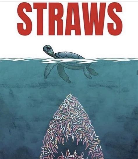 Turtle bad straw good : r/im14andthisisdeep