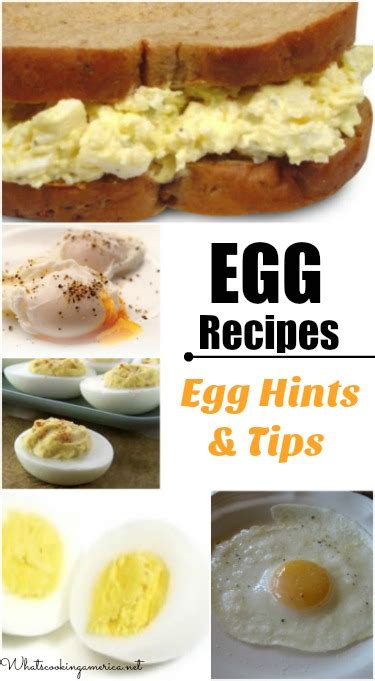 Egg Recipes And Egg Cooking Techniques, What's Cooking America