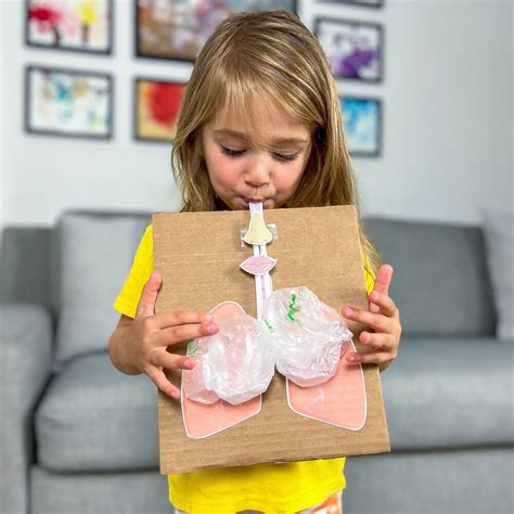 Lung Anatomy Printable For Kids Anatomy Worksheets - vrogue.co