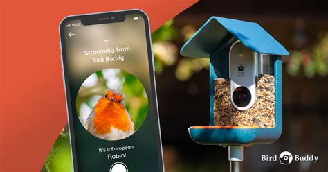 Bird Buddy: A Smart Bird Feeder | Indiegogo