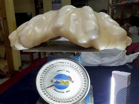 Filipino Fisherman Reveals 75-Pound Pearl He Kept Hidden For A Decade ...