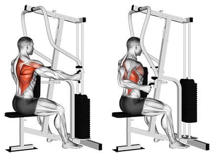 Exercise Database (Back33) - One-Arm Seated Cable Row Machine — Jase ...