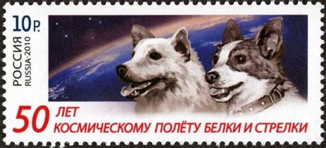 Belka and Strelka, two dogs in space - History