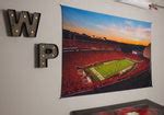 UGA Georgia Bulldogs Art: Sanford Stadium Redout Tapestry Poster Wall – WRIGHT PHOTO