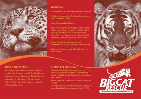 Big Cat Rescue Brochure :: Behance