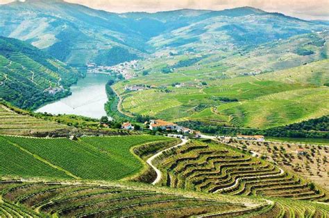 Around the Douro Valley - Portugal By Wine - Wine Tourism in Portugal