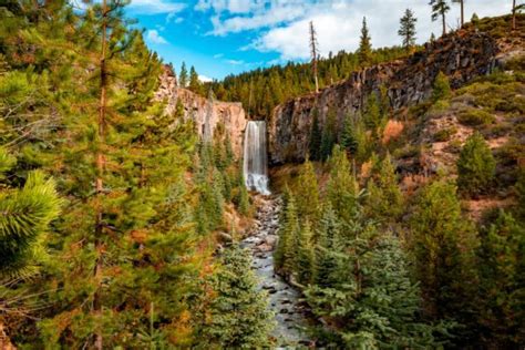 The DESCHUTES is America's Most Beautiful National Forest (PHOTOS)