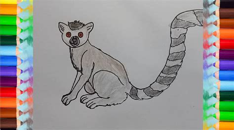 How to Draw a Lemur step by step easy | Easy animals to draw - https ...