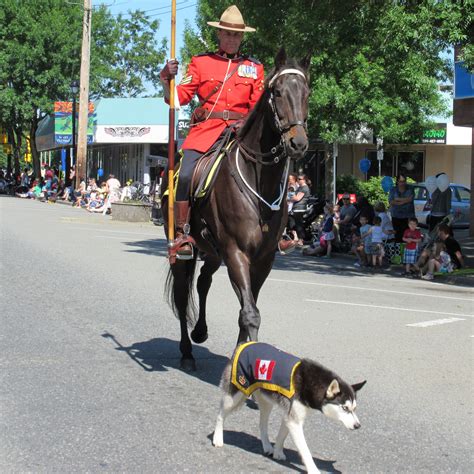 Royal Canadian Mounted Police dog and horse patrol in Langley BC Canada ...