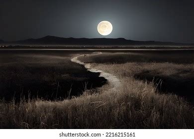 Eerie Full Moon Night Stock Illustration 2216215161 | Shutterstock