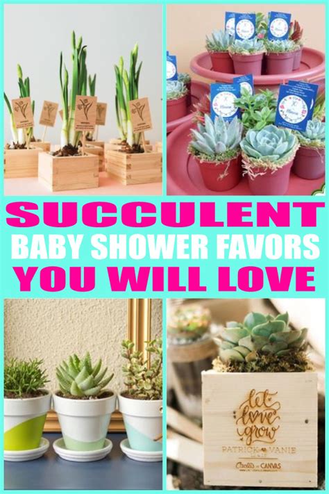 Succulents Baby Shower Favors