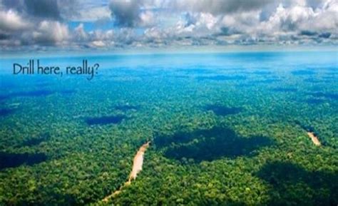 Opinion | Four Reasons why Drilling for Oil in Yasuni National Park ...