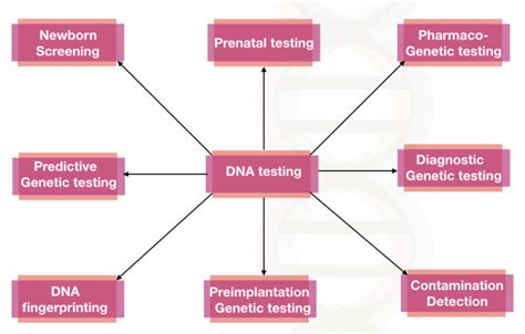 How is Genetic Testing done?- Explained