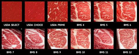 Wagyu vs Kobe Beef - Differences & Everything You Need to Know