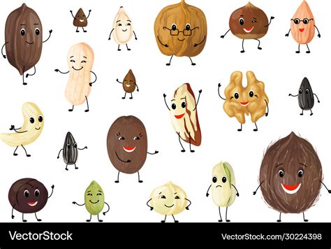 Nuts cartoon characters cute mascot persons Vector Image