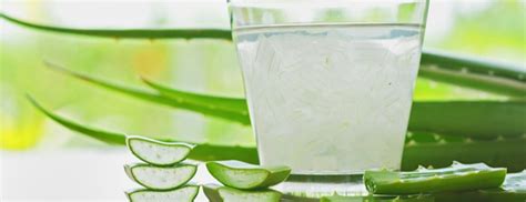 What Are The Benefits Of Drinking Aloe Vera Juice? | Holland & Barrett