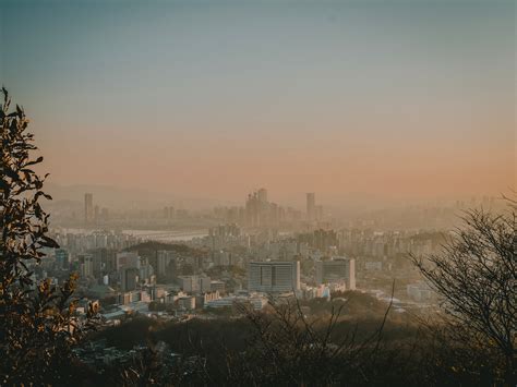 Top View Of City · Free Stock Photo