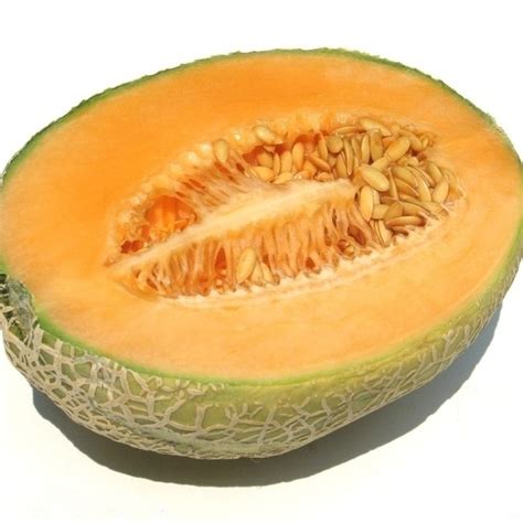 Hami Melon Xinjiang Netted Melon Sweet Crisp And Easy To Grow Fruit bonsai 10pcs - Cleaning Products