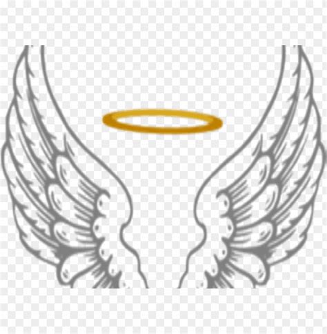 Free download | HD PNG angel halo transparent angel wings vector PNG ...