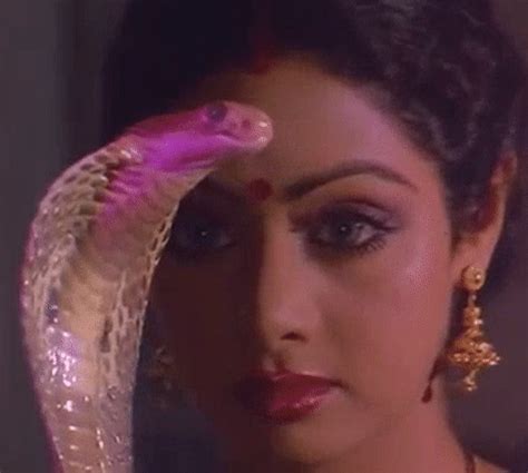 aphroditeinfurs: Nagina (1986) | Beautiful photo, Indian actresses, Celebs