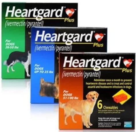 Best Heartworm Prevention for Dogs [2023 ] Top Dog Heartworm Medicines