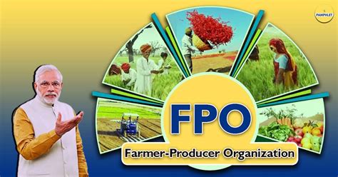 Farmer Producer Organizations (FPO): Here’s The Truth Behind 'Farmers ...