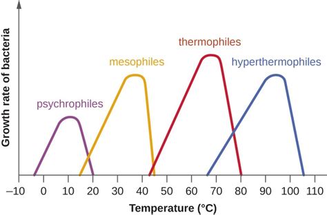 Temperature and Microbial Growth | Microbiology