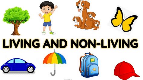 Differences between Living and Non-Living things - Science Class 5 PDF ...