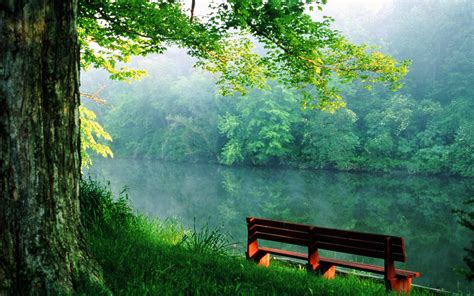 Free download Quiet place near the river wallpapers and images ...