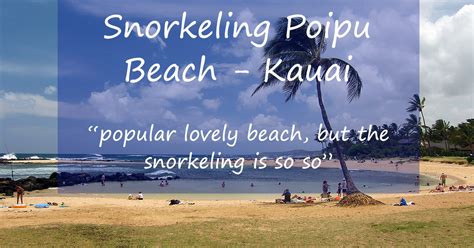 Snorkeling Poipu Beach Park Is Decent, Busy & At A Lovely Beach