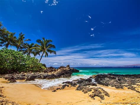 Maui Hawaii Makena Cove Beach (Secret Beach) Wallpaper - Free Download ...