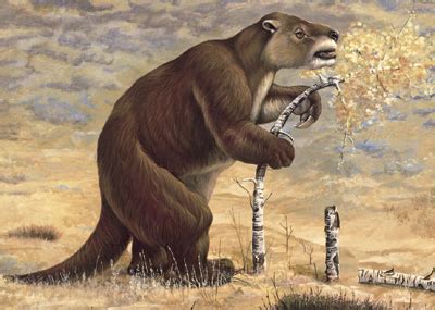 Giant Ground Sloth