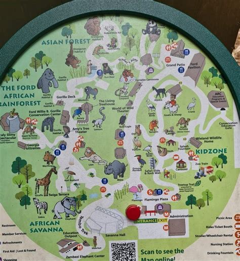 Zoo Atlanta Review – Is Zoo Atlanta Worth It?