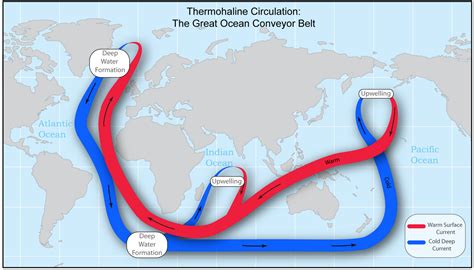 Lindsey Bierwerth Cartography: Thermohaline Circulation