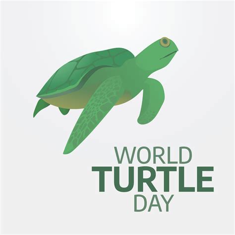 World Turtle Day 23809922 Vector Art at Vecteezy