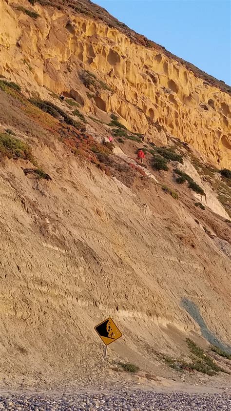 Father of the year award goes to... Seen at Torrey Pines the other day. : r/sandiego