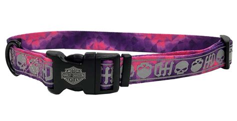 Harley-Davidson® Adjustable Willie G Skull Reflective Dog Collar - Pink & Purple - Wisconsin ...