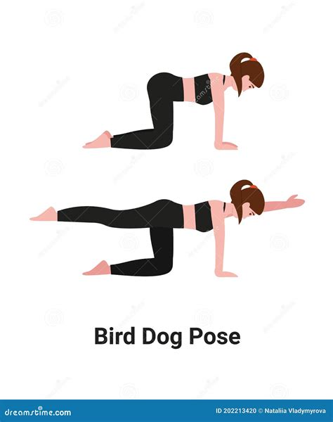 Bird Dog Yoga Pose Woman Character Vector Illustration | CartoonDealer.com #202213420