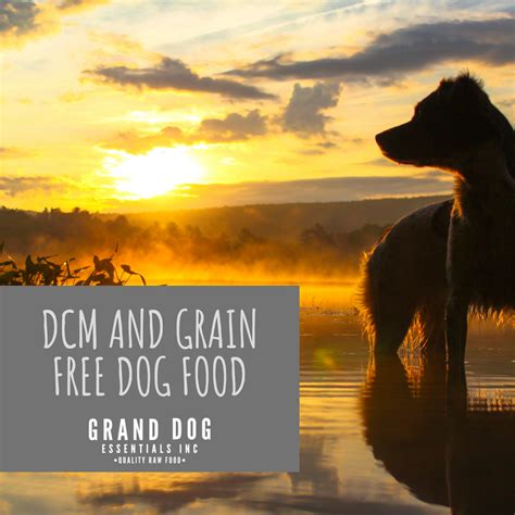 What You Need to Know About DCM and Grain Free Dog Food – Grand Dog ...