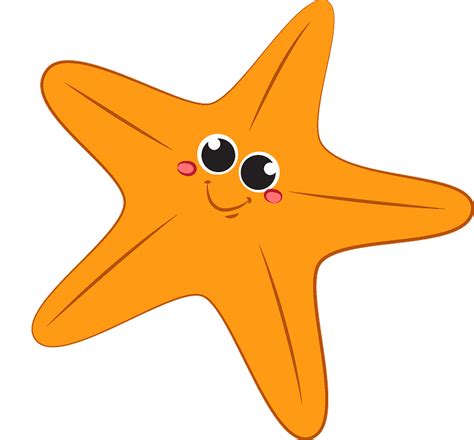 Download Starfish Clipart - Clip Art Star Fish Cartoon - Png Download (#5291845) - PinClipart