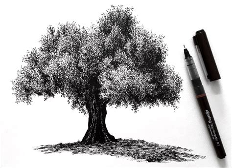 How to Draw (Realistic) Trees with Pen & Ink - Ran Art Blog (2023)