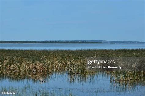 16 Gull Lake Alberta Stock Photos, High-Res Pictures, and Images ...