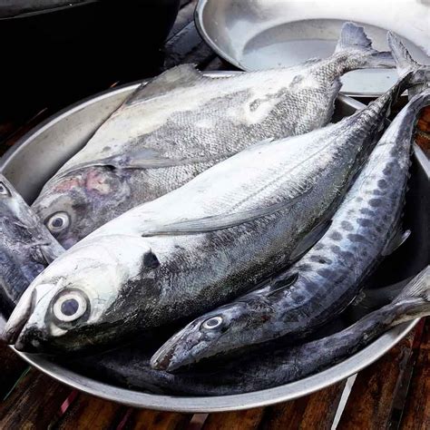 Buy Mackerel Online in Guwahati | Mackerel Fish Home Delivery in Guwahati