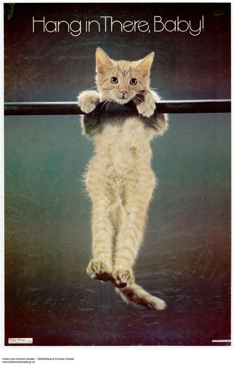 hang in there baby friday's coming cat poster - Bing Images Baby Cats, Cats And Kittens, Cats ...